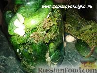 Фото приготовления рецепта: Огурцы с горчицей на зиму - шаг №2
