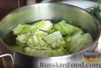 Фото приготовления рецепта: Пхали из шпината и молодой капусты - шаг №3