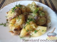 Фото к рецепту: Картофель, тушенный с грибами
