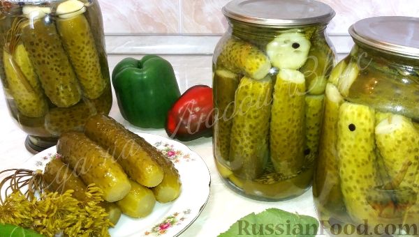 Салат из огурцов на зиму (заготовки) - пошаговый рецепт с фото на баштрен.рф