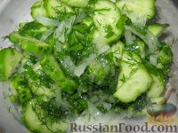 Фото к рецепту: Салат из огурцов и зелени