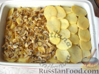 Фото приготовления рецепта: Картофельная запеканка с грибами, в сливках - шаг №7