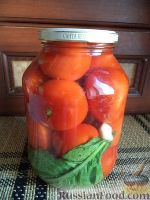 Фото приготовления рецепта: Соленые помидоры с укропом, чесноком и хреном - шаг №9