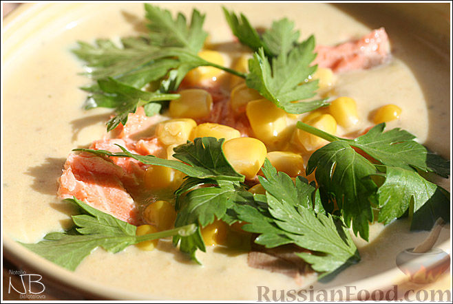 Суп-пюре из лосося со сливками - пошаговый рецепт с фото на internat-mednogorsk.ru