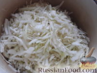Фото приготовления рецепта: Домашняя маринованная капуста - шаг №2