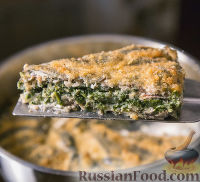 Фото к рецепту: Рыбная запеканка с сыром и шпинатом