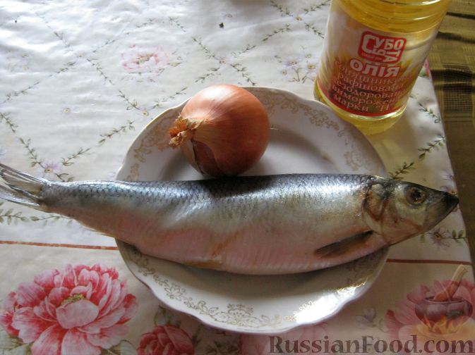 Селедка соленая с луком – рецепт приготовления с фото от malino-v.ru