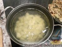 Фото приготовления рецепта: Грибной суп с плавленым сыром - шаг №6