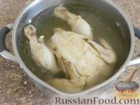 Фото приготовления рецепта: Сациви с курицей - шаг №3