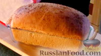 Фото к рецепту: Хлеб из цельнозерновой муки