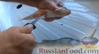 Фото приготовления рецепта: Вкуснейшая рыба горячего копчения - шаг №1