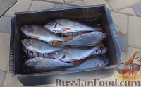 Фото приготовления рецепта: Вкуснейшая рыба горячего копчения - шаг №7