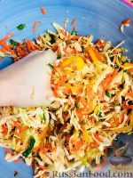 Фото приготовления рецепта: Салат "Будь в форме" с капустой, болгарским перцем, морковью и сельдереем - шаг №3