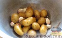 Фото приготовления рецепта: Хрустящий картофель, запечённый в пиве - шаг №2