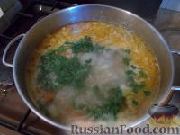 Фото приготовления рецепта: Зимний куриный суп Севера - шаг №17