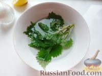 Фото приготовления рецепта: Зеленый салат с листьями одуванчика и крапивы - шаг №2