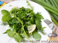 Фото к рецепту: Зеленый салат с листьями одуванчика и крапивы