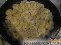 Фото приготовления рецепта: Куриные оладушки с плавленым сыром - шаг №13