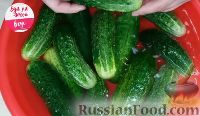 Фото приготовления рецепта: Салат из огурцов на зиму - шаг №1