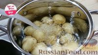 Фото приготовления рецепта: Молодой картофель в духовке - шаг №1