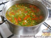 Фото приготовления рецепта: Суп из чечевицы с томатом - шаг №8