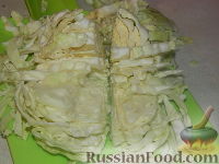 Фото приготовления рецепта: Солянка из капусты с грибами - шаг №2