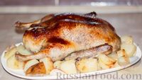 Фото к рецепту: Фаршированная утка с хрустящей корочкой, в духовке