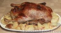Фото приготовления рецепта: Фаршированная утка с хрустящей корочкой, в духовке - шаг №16