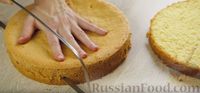 Фото приготовления рецепта: Бисквитный торт с кремом "Пломбир" - шаг №16