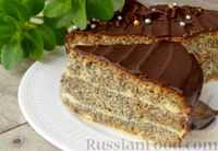 Фото к рецепту: Маковый торт со сливочным кремом и шоколадной глазурью