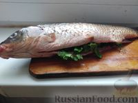 Фото приготовления рецепта: Рыба, запеченная в соли - шаг №3