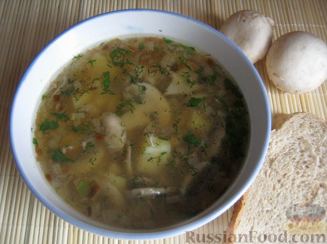 Грибной суп из шампиньонов рецепт с фото