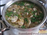 Фото приготовления рецепта: Простой  грибной суп из шампиньонов - шаг №12