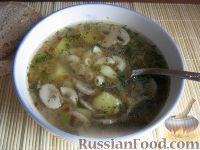 Фото приготовления рецепта: Простой  грибной суп из шампиньонов - шаг №13