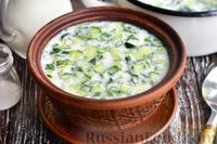 Фото к рецепту: Холодный кисломолочный суп с огурцами, зелёным луком и укропом