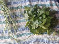 Фото приготовления рецепта: Кабачковые оладьи с плавленым сыром и зеленью - шаг №4