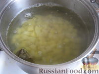 Фото приготовления рецепта: Грибная солянка с капустой - шаг №3