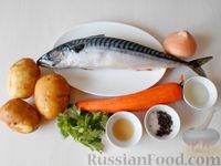 Фото приготовления рецепта: Скумбрия с луком и морковью, в духовке - шаг №1