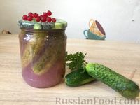 Фото приготовления рецепта: Огурцы, маринованные в соке красной смородины - шаг №11