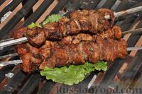 Фото приготовления рецепта: Шашлык из свинины в маринаде из кефира - шаг №11