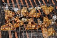 Фото приготовления рецепта: Куриные крылышки в медовом маринаде (на мангале) - шаг №9