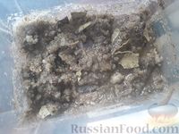 Фото приготовления рецепта: Слабосоленая сельдь в домашних условиях - шаг №3