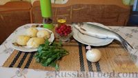 Фото приготовления рецепта: Закусочный салат с селёдкой, картофелем и клюквой - шаг №1