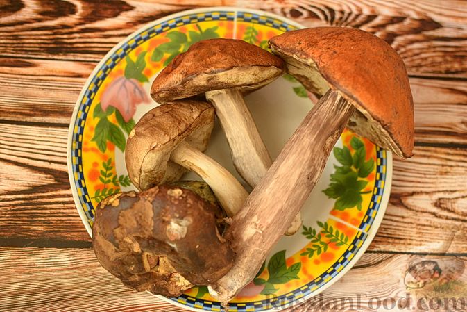 лесные грибы рецепты приготовления