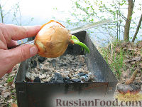 Фото приготовления рецепта: Шашлык из баранины - шаг №7