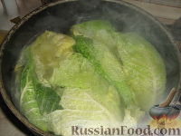 Фото приготовления рецепта: Рулет из лаваша с тушёной капустой (в духовке) - шаг №1