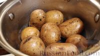 Фото приготовления рецепта: Запеканка картофельная с потрохами - шаг №2