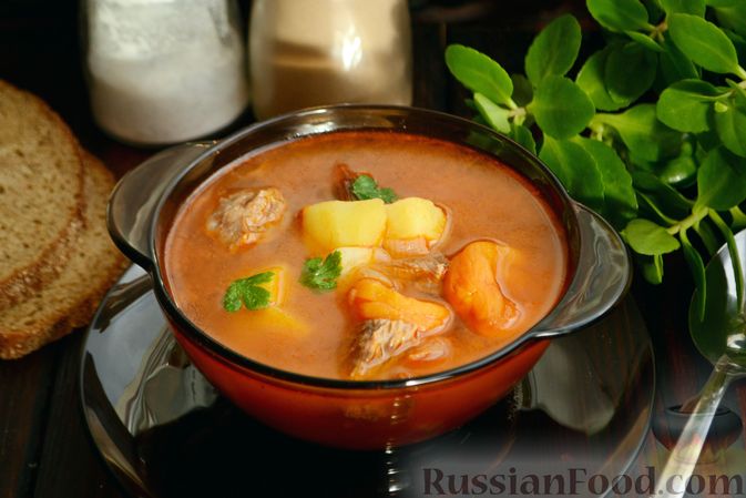 Сункапур (армянский грибной суп)