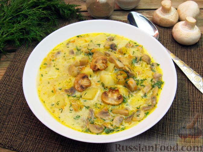 Рецепт сырного супа с грибами: простой и вкусный способ приготовления