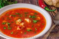 Фото к рецепту: Пикантный томатный суп с индейкой